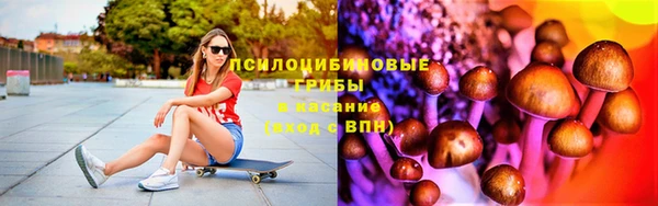спайс Медвежьегорск