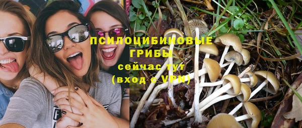 меф Медногорск