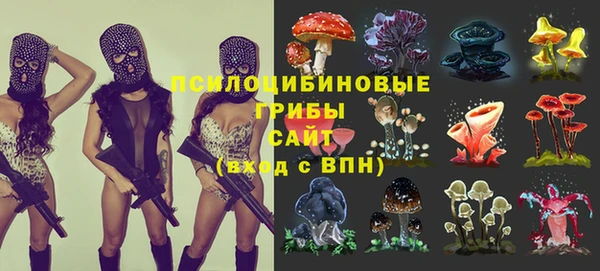 спайс Медвежьегорск