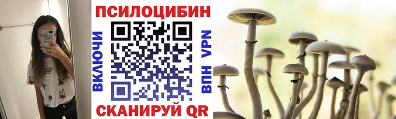 Псилоцибиновые грибы мицелий  как найти закладки  darknet как зайти  Оренбург 